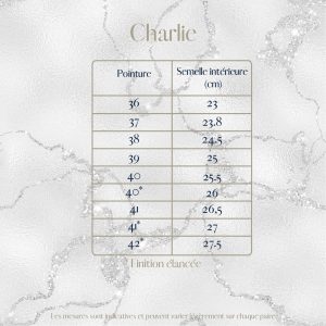 charlie mariée just married noir & paillettes